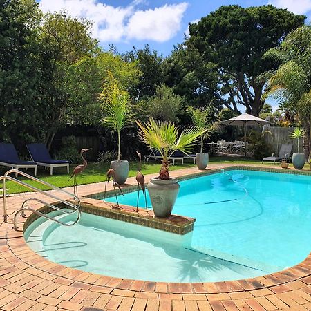 Wild Olive Guest House & Villa Cape Town Exterior photo