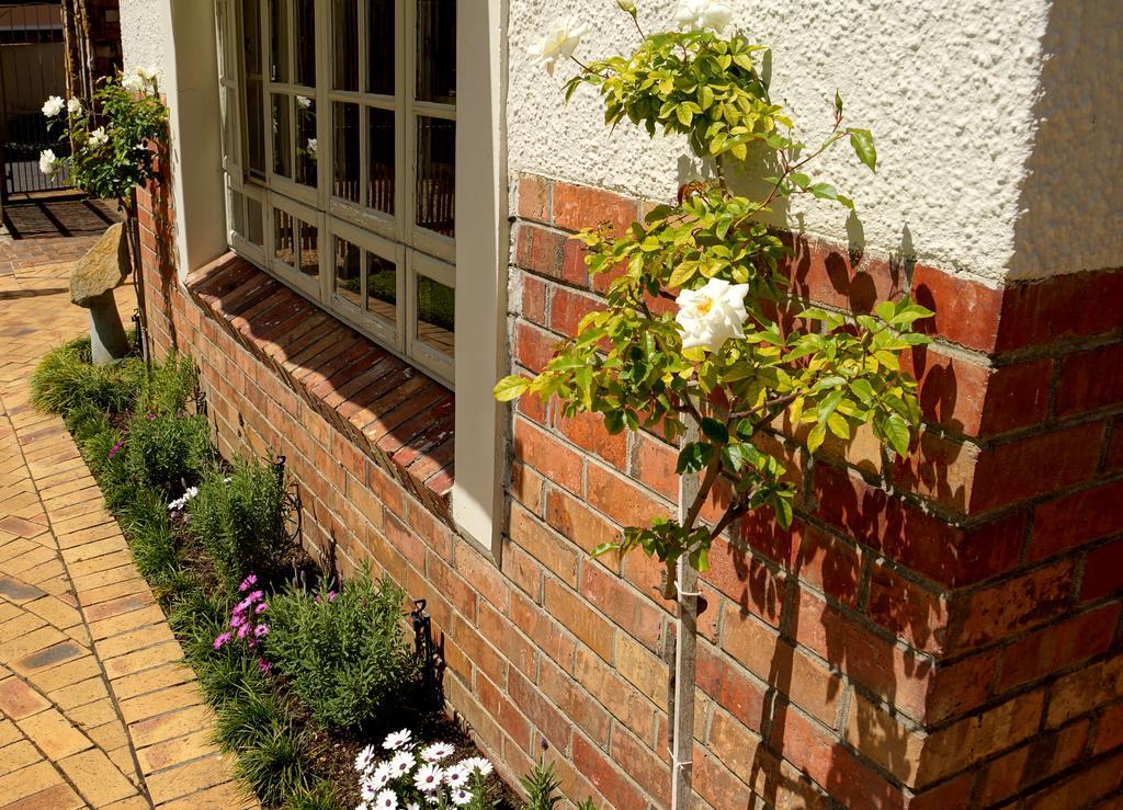 Wild Olive Guest House & Villa Cape Town Exterior photo