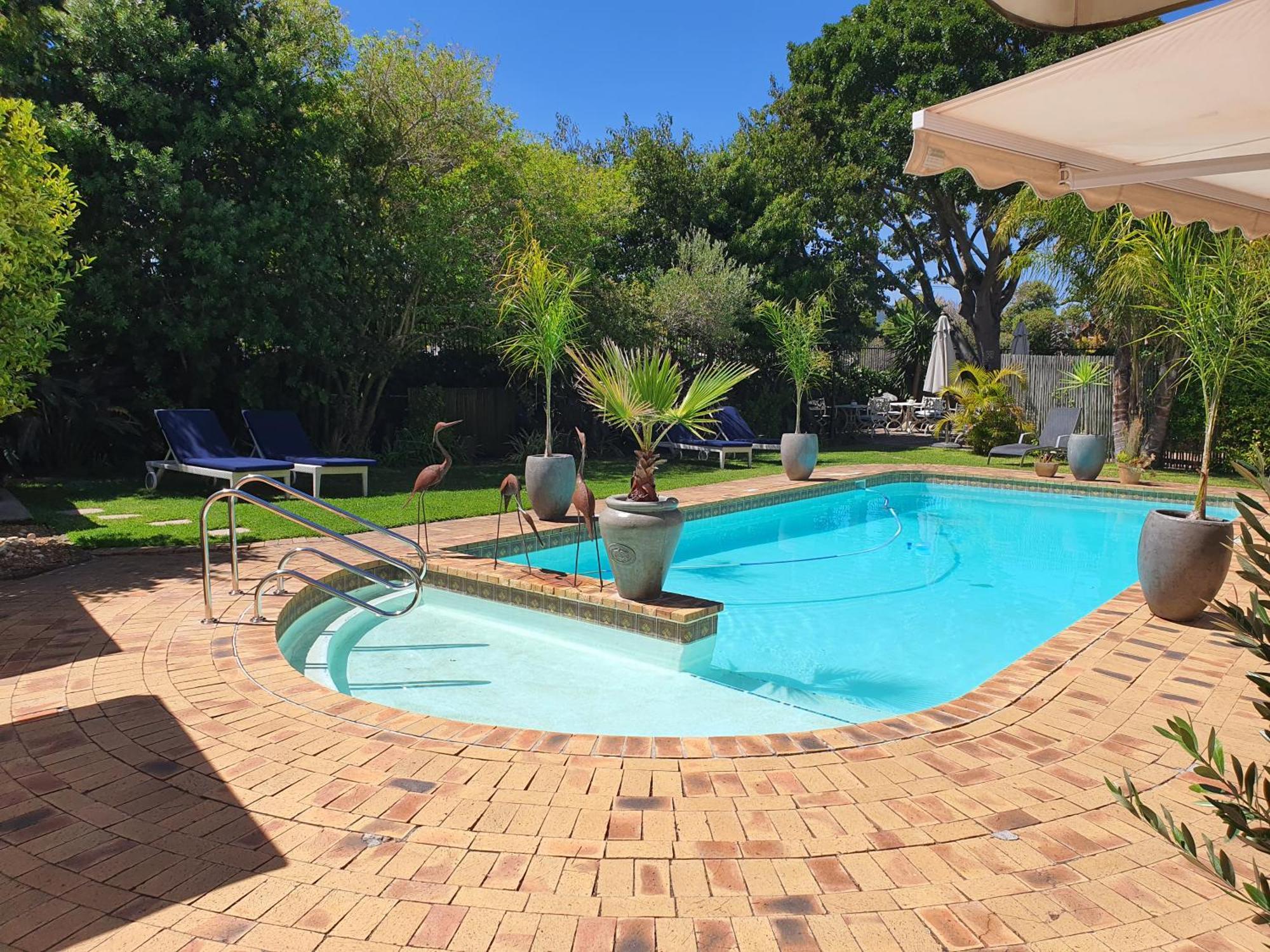 Wild Olive Guest House & Villa Cape Town Exterior photo