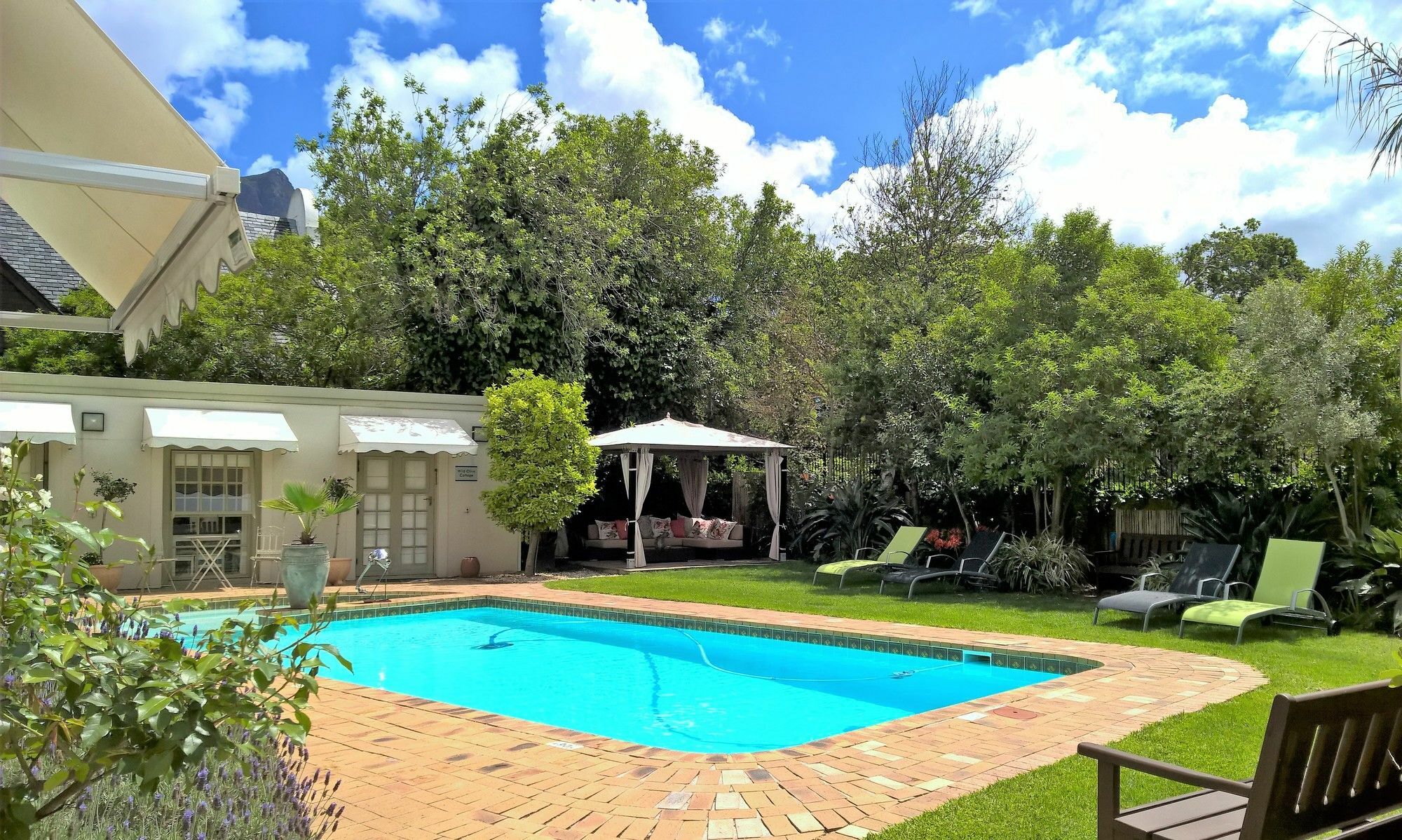 Wild Olive Guest House & Villa Cape Town Exterior photo