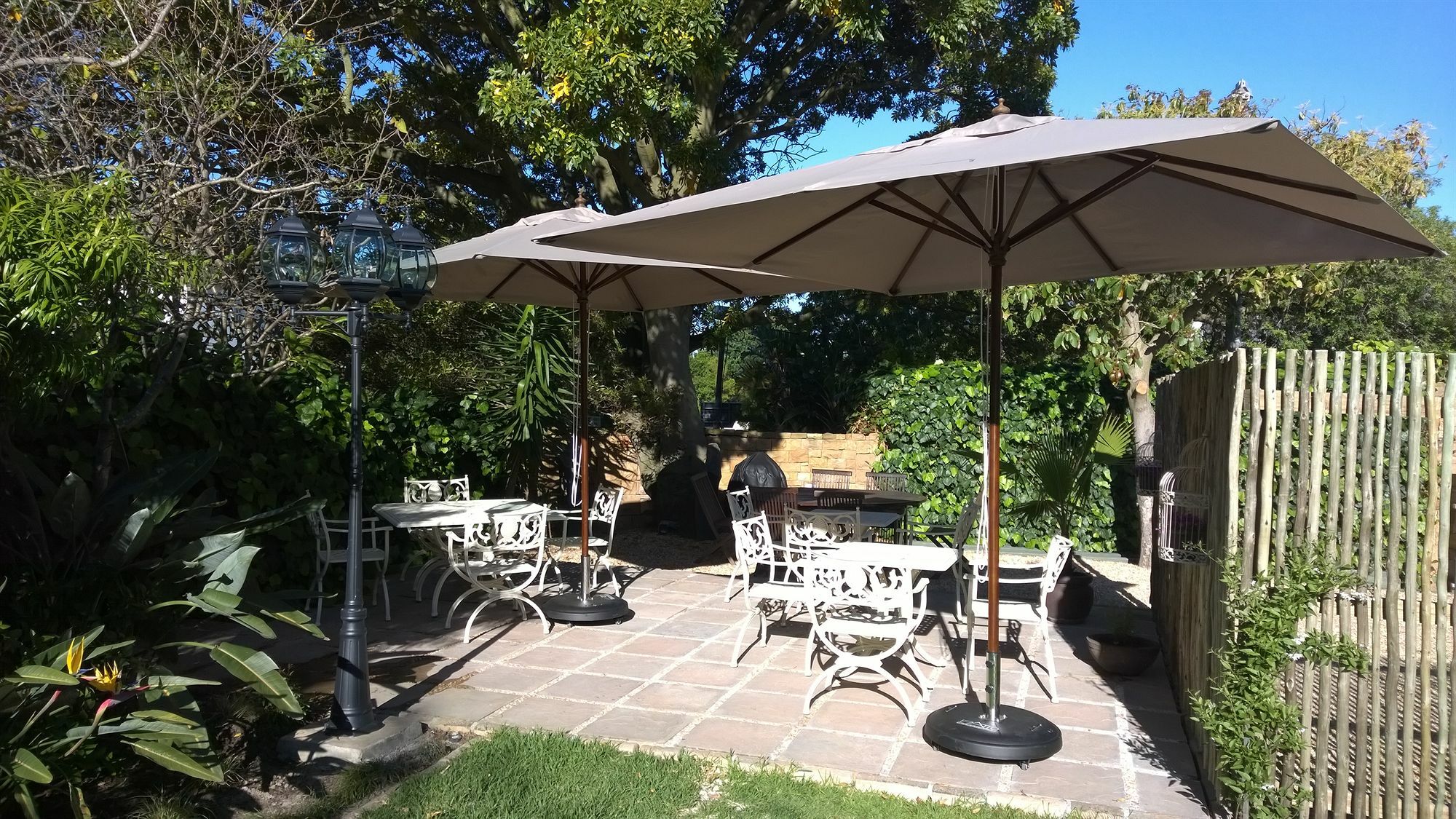 Wild Olive Guest House & Villa Cape Town Exterior photo